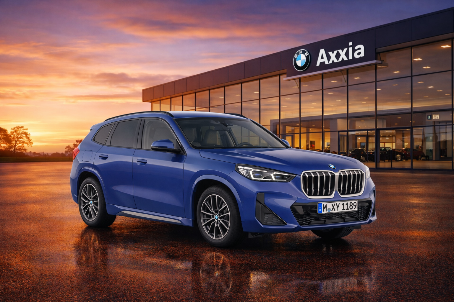 BMW X1